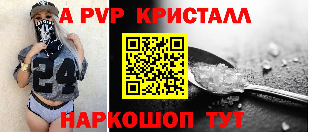 Альфа ПВП СК КРИС Сочи