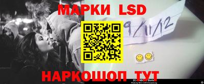 индика Нягань