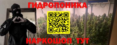 мдпв Обь