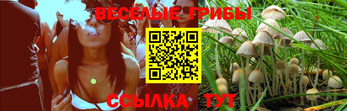 Галлюциногенные грибы GOLDEN TEACHER Сочи