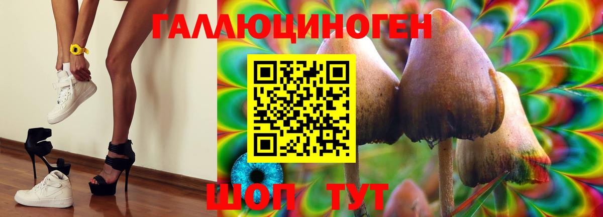 продажа наркотиков  Галлюциногенные грибы MAGIC MUSHROOMS  Вход с VPN  Сочи  Галлюциногенные грибы GOLDEN TEACHER 